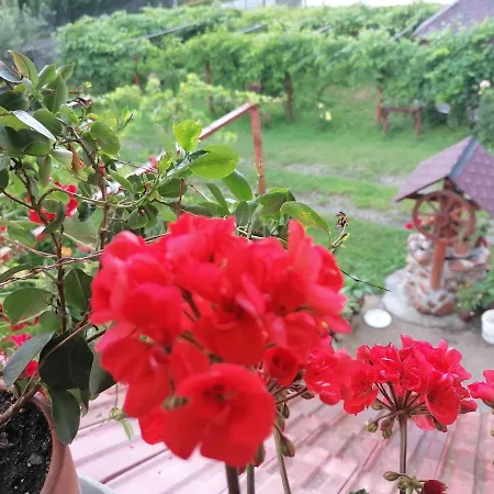 La Haiduc Guest house *