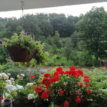 Guest house La Haiduc Crainici
