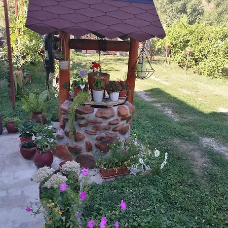 La Haiduc *