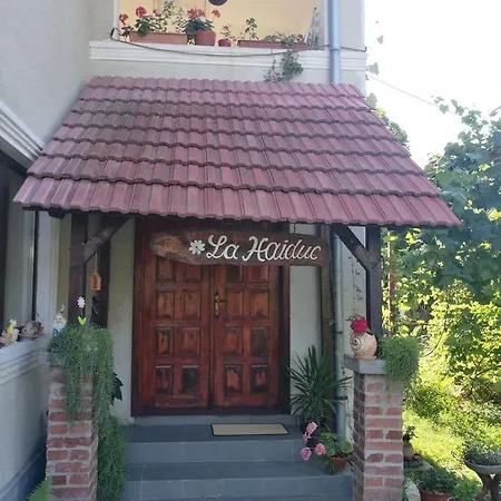 La Haiduc Guest house Crainici