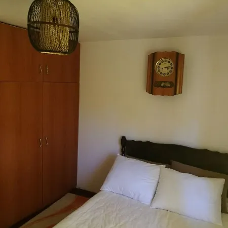 Guest house La Haiduc *