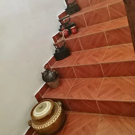 Guest house La Haiduc