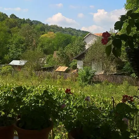 La Haiduc Guest house
