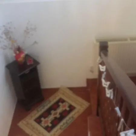 Guest house La Haiduc Crainici